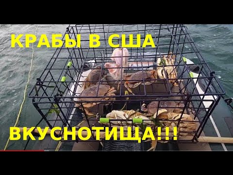 Видео: ВКУСНОТИЩА! ЛОВЛЯ КРАБОВ В ТИХОМ ОКЕАНЕ НА СЕВЕРО-ЗАПАДЕ США. ПРОСТОЙ РЕЦЕПТ ПРИГОТОВЛЕНИЯ.