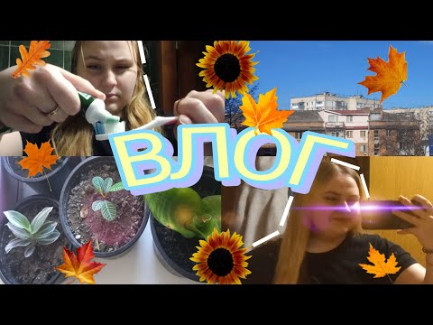 Видео: Blog / Осінній вайб,⭐//Прогулка+Хороший настрій✌