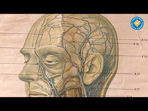 Видео: Мозъчната аневризма е коварна, но лечима