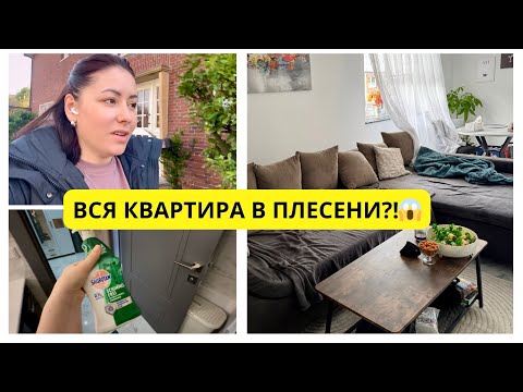 Видео: Что с ЭТИМ делать?🤔 Генеральная уборка в квартире🧹 Что купила в DM✨ Жизнь в Германии🇩🇪