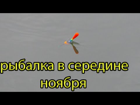 Видео: Рыбалка на поплавок в середине ноября на речке.