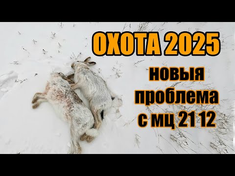 Видео: Охота на зайца 2025, Новая проблема с МЦ 21 12  #охота #охотаназайца  #охота2025