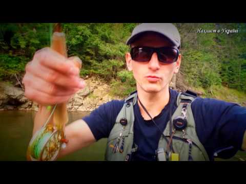 Видео: Мухарство в Карпатах. День 1-ий