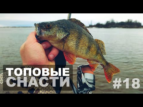 Видео: Zander Game XT Limited + Shimano TP 4000PG. + CADENCE PRIMO TRAVEL. Ловля окуня. Рыбалка на Волге.