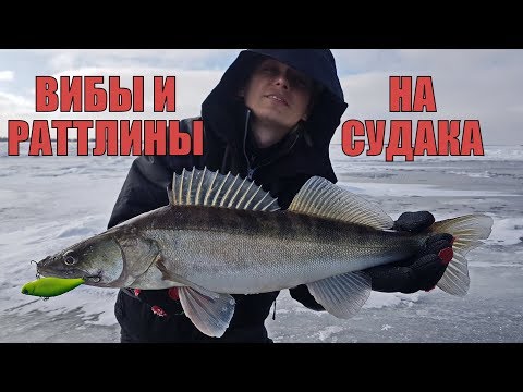 Видео: Лучшие ВИБЫ и РАТТЛИНЫ на СУДАКА. Полный ОБЗОР моей КОРОБКИ на хищника