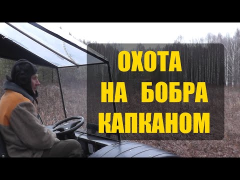 Видео: ПОЙМАЛ БОБРА КАПКАНОМ. Установка капкана КП-250. Охота на бобра (ч.3)