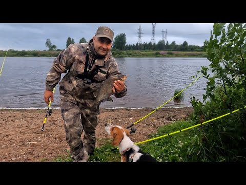 Видео: У рыбалки нет плохой погоды / Удилище Осетр / Рыбалка на донки /