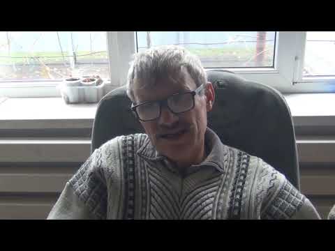 Видео: Дегустация табака , Флорида суматра и Розе тобако