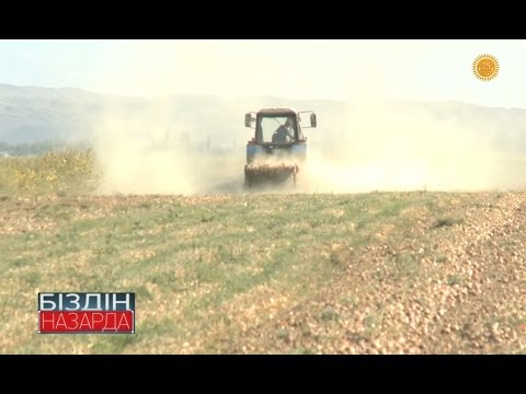 Видео: «Біздің назарда». Жамбылдық шаруалар тақырға отырудың аз алдында