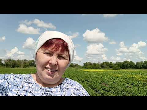 Видео: Жизнь в деревне 🏡.