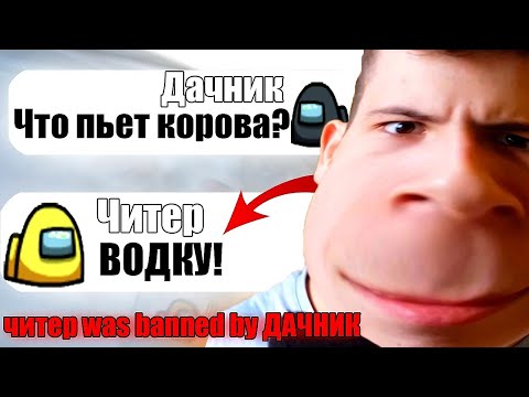 Видео: САМЫЙ ТУПОЙ ЧИТЕР В АМОНГ АС #5