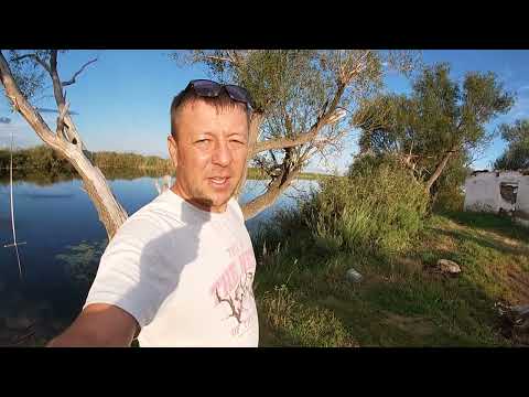 Видео: Первая Рыбалка На Ишиме!!! Результат Порадовал!!!