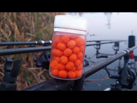 Видео: Лучшая насадка на карпа по холодной воде.
