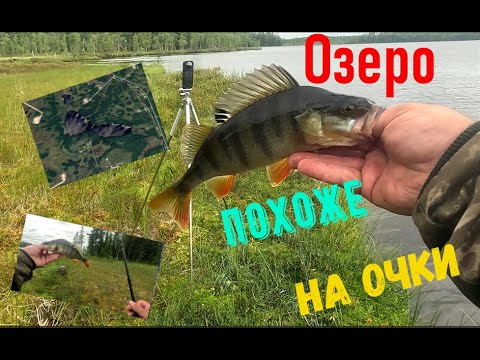 Видео: Озеро очки.