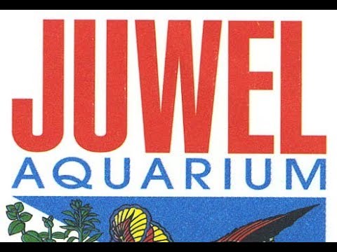 Видео: Старый,старый ювель,ремонт