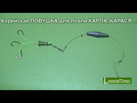 Видео: Корейская ПРУЖИНА для ловли КАРПА, КАРАСЯ. СУПЕР УЛОВИСТАЯ ПРУЖИНА