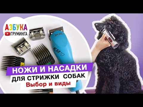 Видео: Смена ножа для стрижки собак, насадки на машинку