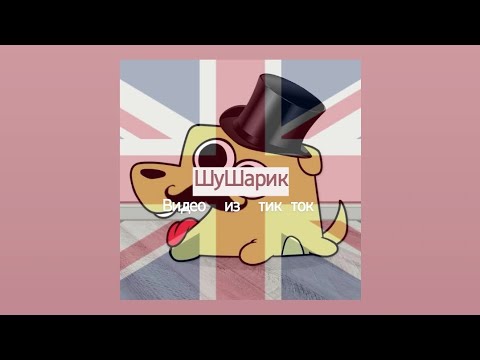 Видео: Подборка видео из тик ток ШуШарик