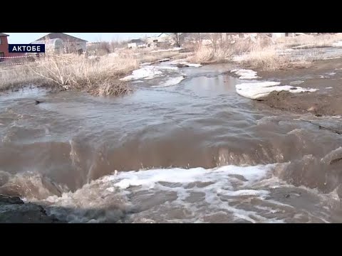 Видео: «Апта тынысы» хабары 03.04.2022ж.