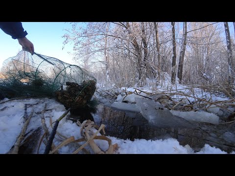 Видео: ЗИМНЯЯ ЛОВЛЯ РАКОВ.