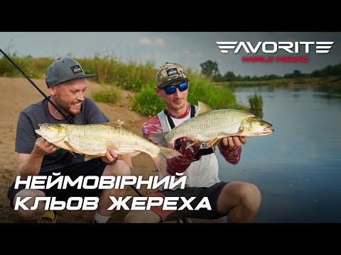 Видео: Як ловити жереха на поверхневі приманки? Favorite World Fishing повертається