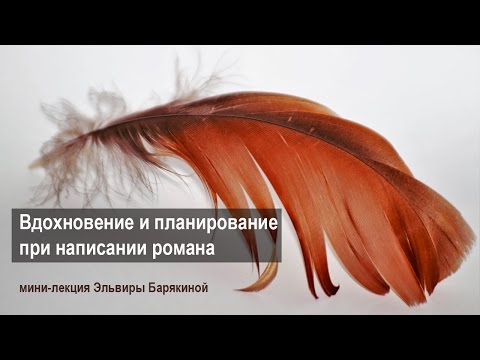 Видео: Вдохновение и планирование при написании романа. Мини-лекция Эльвиры Барякиной
