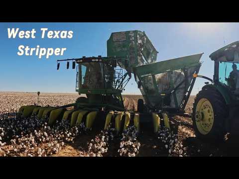 Видео: Очистка хлопка в Западном Техасе: повышение эффективности
