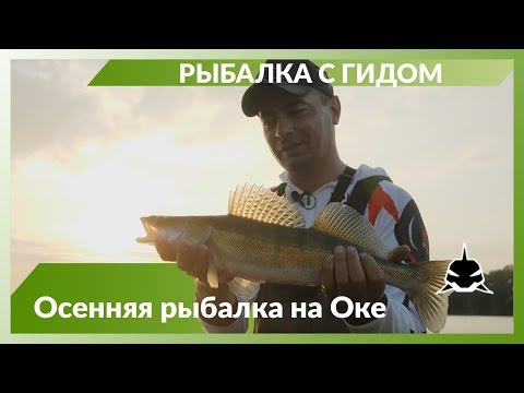 Видео: Рыбалка с гидом на Оке в районе Коломны.