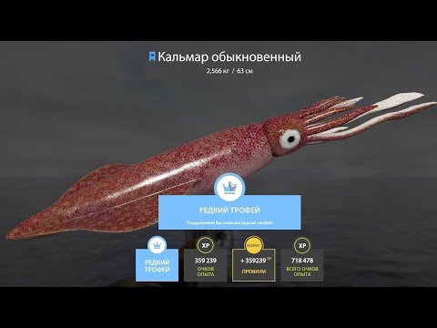 Видео: 🐠НОРВЕЖСКОЕ МОРЕ.ОНО МЕНЯ НЕ ЖДЕТ,А Я ТУТ КАК ТУТ🐟СТРИМ РУССКАЯ РЫБАЛКА 4🐡РОЗЫГРЫШ РУЛЕТОК