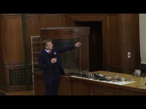 Видео: Шевельков А. В. - Неорганическая химия I - 17. Элементы 14 группы