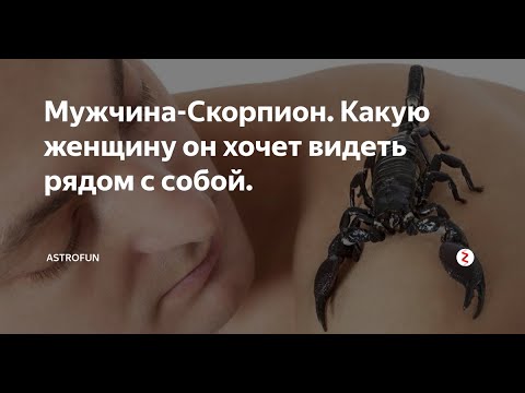 Видео: Кубковый король. Мужчина -  Скорпион.
