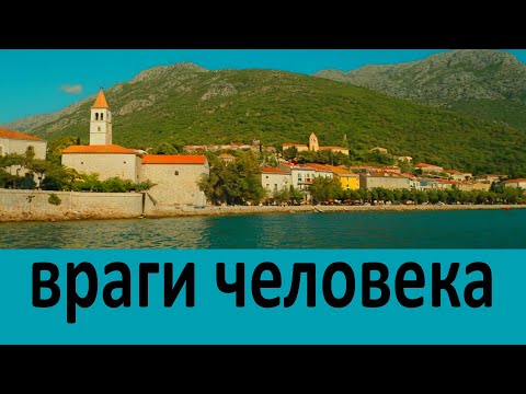 Видео: Враги человека. преп.  Иосиф Исихаст