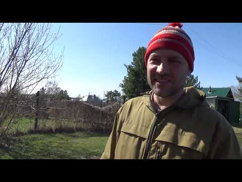 Видео: Минитрактор Рустрак Р-18 работа с почвофрезой!