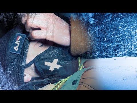 Видео: ЗАМЕРЗ В ЛЕСУ / ЖУТКИЙ ВОЙ ДЕМОНА В ЛЕСУ FROZEN IN THE FOREST / CREEPY DEMON WOWING IN THE FOREST