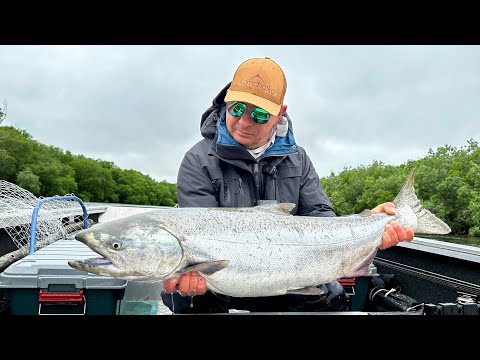 Видео: КАМЧАТКА, ЧАВЫЧА Лучшая рыбалка в ИЮЛЕ р.БОЛЬШАЯ, "BIG RIVER"