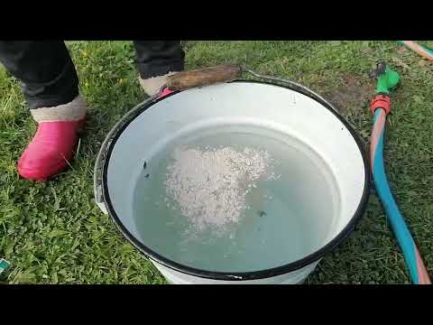 Видео: Домашняя жизнь "Моем теплицу" | серия 1.