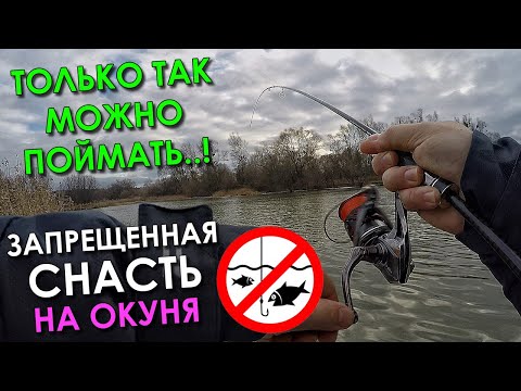 Видео: ЗАПРЕЩЕННАЯ СНАСТЬ НА ОКУНЯ! БЕЗ НЕЕ НЕ ПОЙМАТЬ ЗИМОЙ! Ловля окуня зимой 2022. Рыбалка на окуня