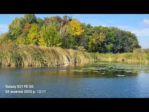 Видео: 4 жовтня 2025 р.