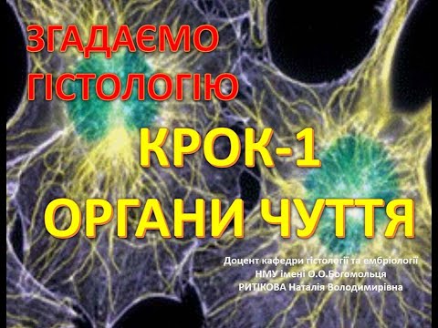 Видео: Гістологія  Крок 1= Органи чуття