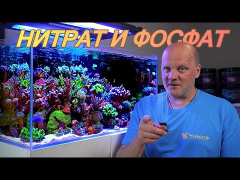 Видео: ЗАЧЕМ ИХ ДОЗИРОВАТЬ В МОРСКОЙ АКВАРИУМ