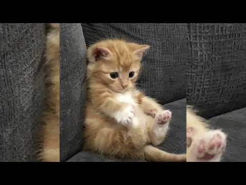 Видео: 🌅 музыка для флешмоба  🌅