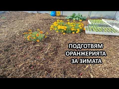 Видео: Есенно-зимна подготовка на оранжерията / Градина без копане / Tony's permaculture garden