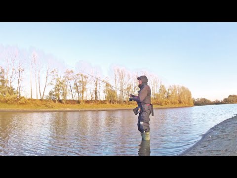 Видео: Спиннинг! Береговая рыбалка. ЛУЧШАЯ СНАСТЬ ДЛЯ ЛОВЛИ ОКУНЯ! Был бы окунь :)