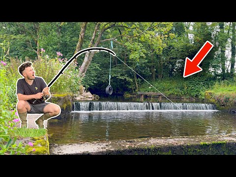 Видео: Я заплатил фермеру за то, чтобы тот выловил рыбу в его НЕТРОНУТОЙ речке... Вот что произошло!😯