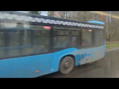 Видео: Хованское кладбище в автобусе 600