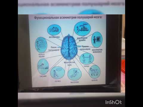 Видео: Нейропсихологический подход  в работе с детьми с тяжелыми нарушениями речи