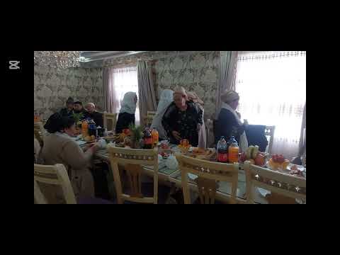 Видео: 2 ноября 2025 г.