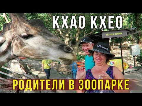 Видео: Мама в Зоопарке Кхао Кхео в Паттайе - Кормим животных, Жирафы и Обезьяны, Тайланд