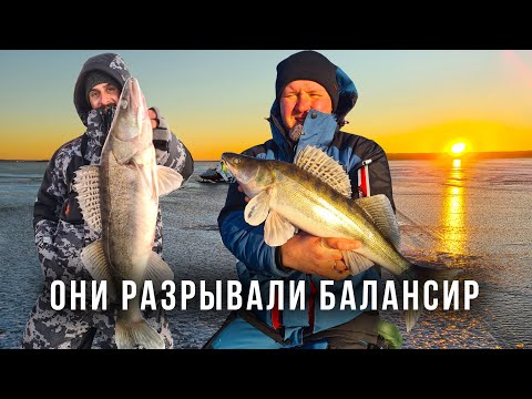 Видео: НАКОЛБАСИЛИ СУДАКА НА БАЛАНСИРЫ / УЛЬЯНОВСК РУЛИТ!