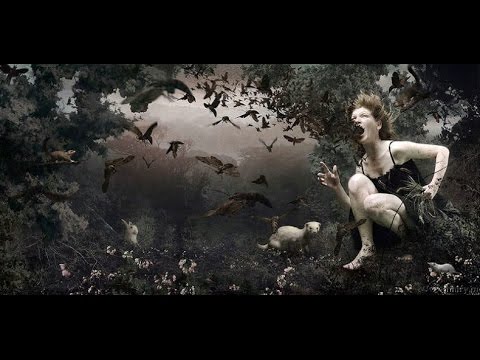 Видео: Как надо реагировать, если люди ругаются матом?